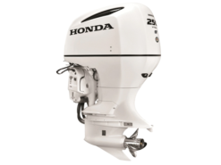2019 Honda 250 HP BF250DXRA WT Outboard Motor