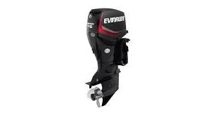 EVINRUDE 75HP E75DPGL OUTBOARD